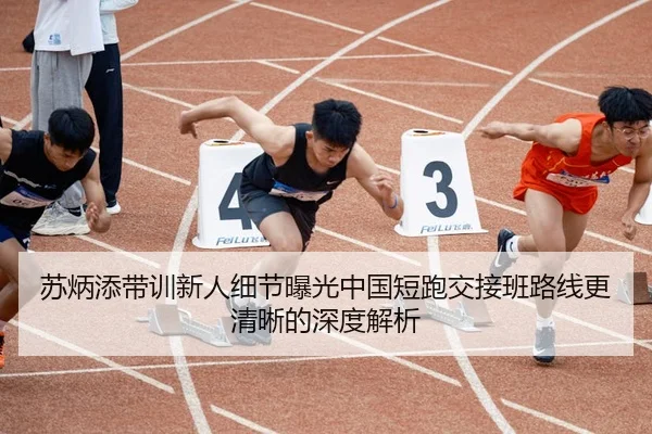 苏炳添带训新人细节曝光中国短跑交接班路线更清晰的深度解析