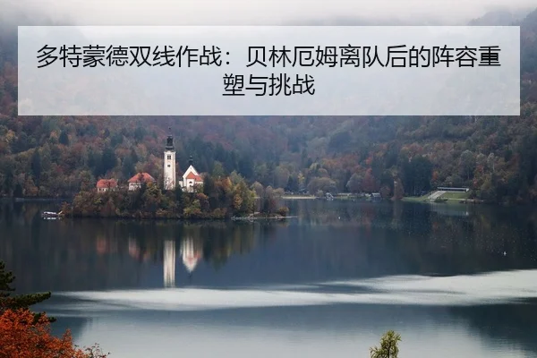 多特蒙德双线作战：贝林厄姆离队后的阵容重塑与挑战