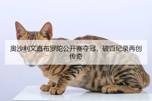 奥沙利文直布罗陀公开赛夺冠，破百纪录再创传奇