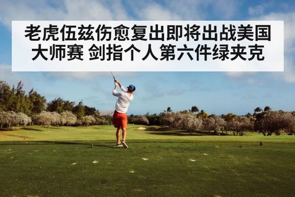 Tiger Woods golf swing