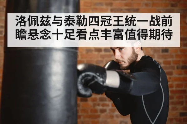 boxer training punching bag